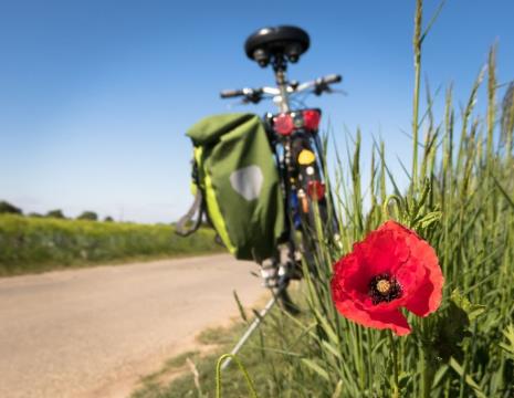 TOUS À VELO EDITION DEGUISEE