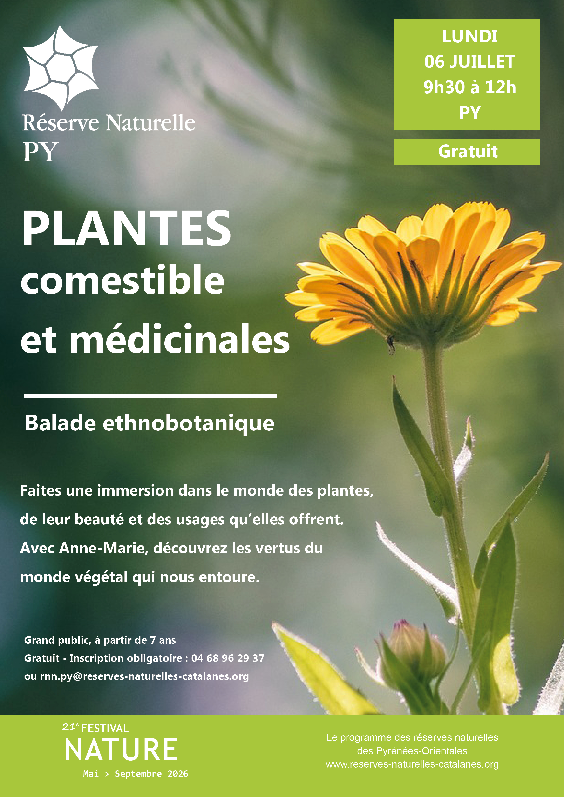 Balade ethnobotanique : Plantes comestibles et médicinales