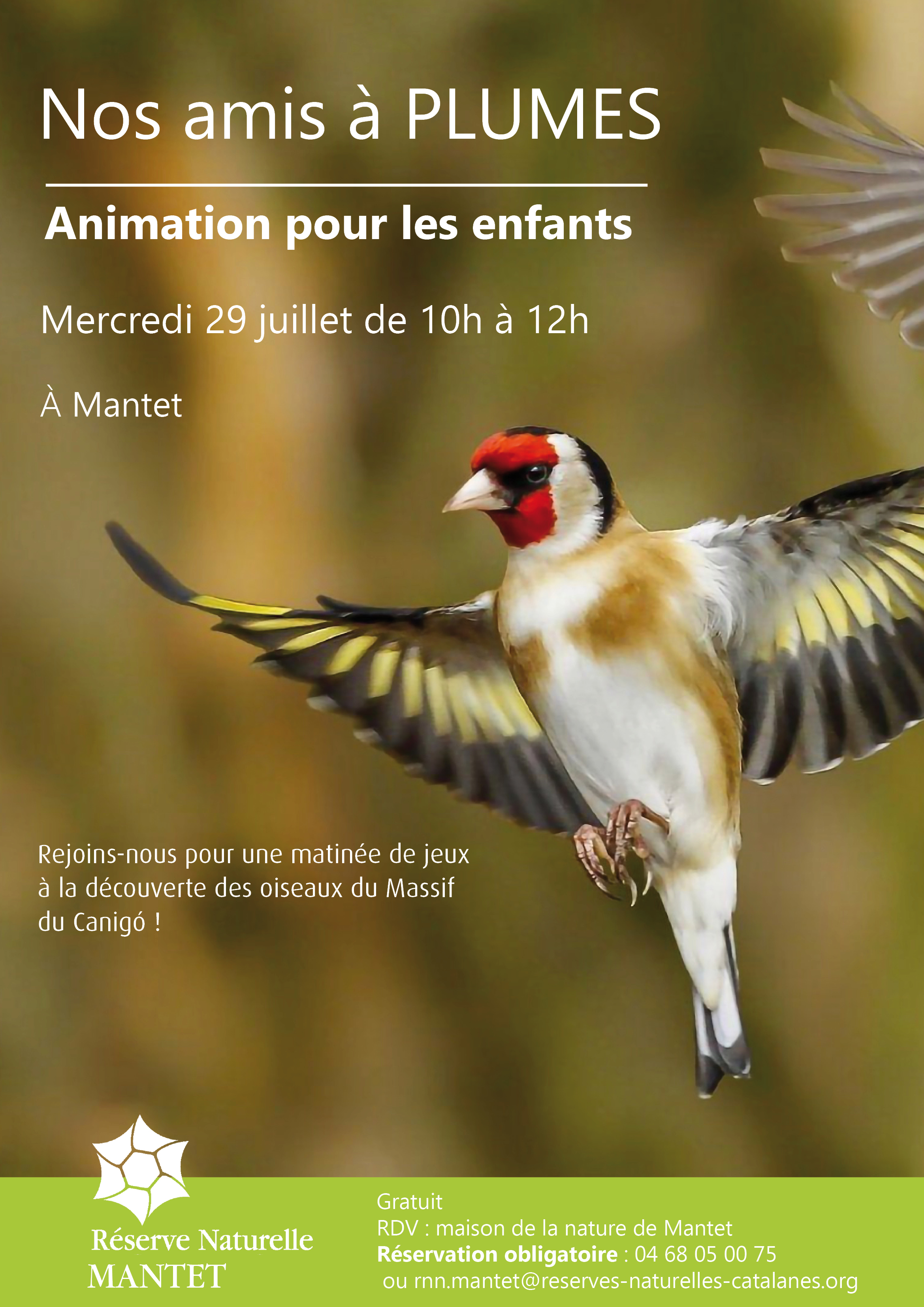 Animation enfant : Nos amis à plumes