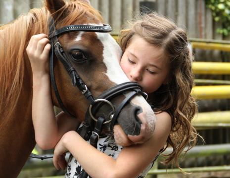 TOUR À PONEY À LA MAIN