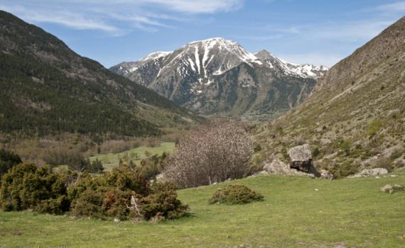 portn_puymorens_2_mai_2012_
