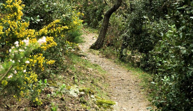puig-marbet-printemps