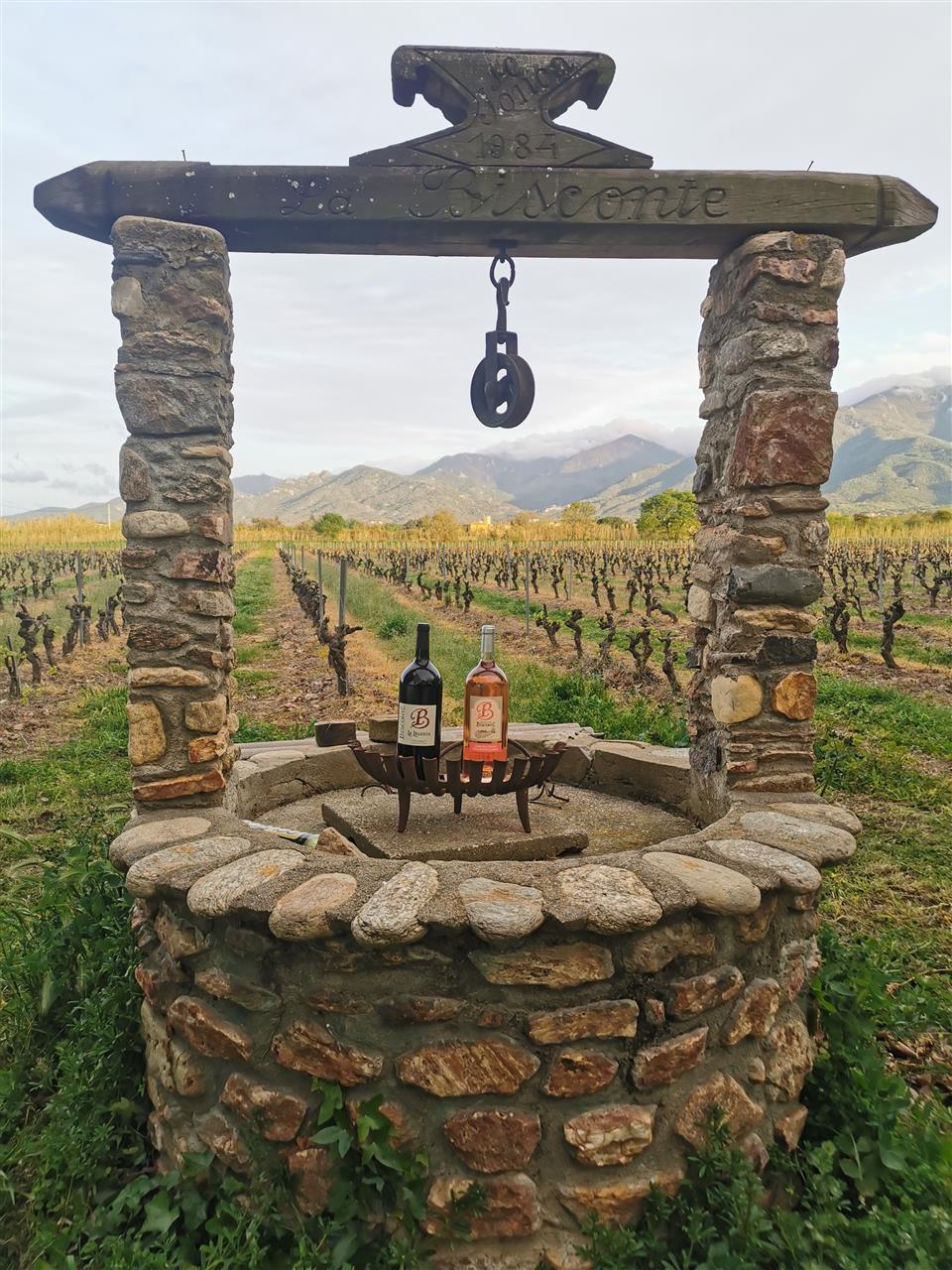 Balade gourmande au domaine bisconte
