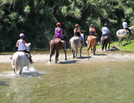 PROMENADE À CHEVAL DE 2H AVEC RANDO ET CHARIOT