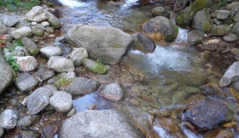 rivière rotjà