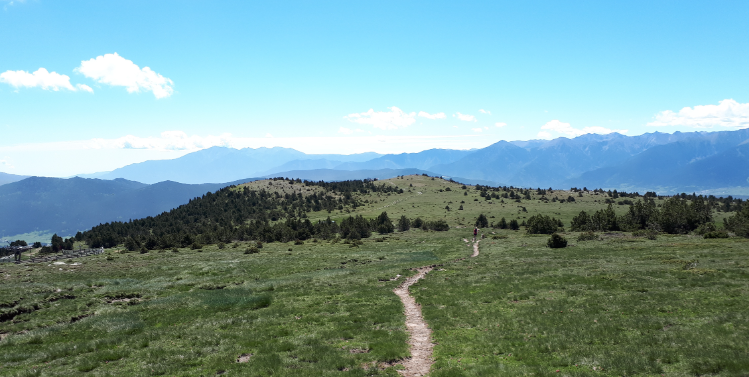 LE MONT ROC D’AUDE