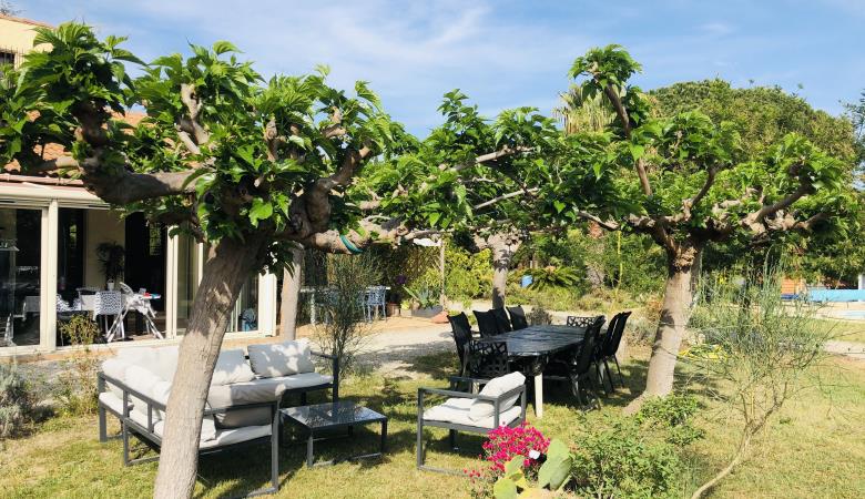 salon jardin