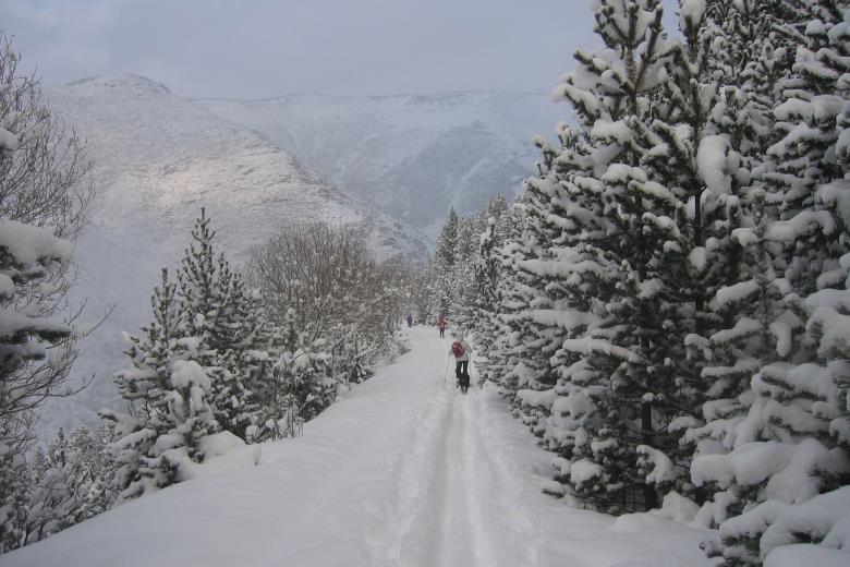 ski rando