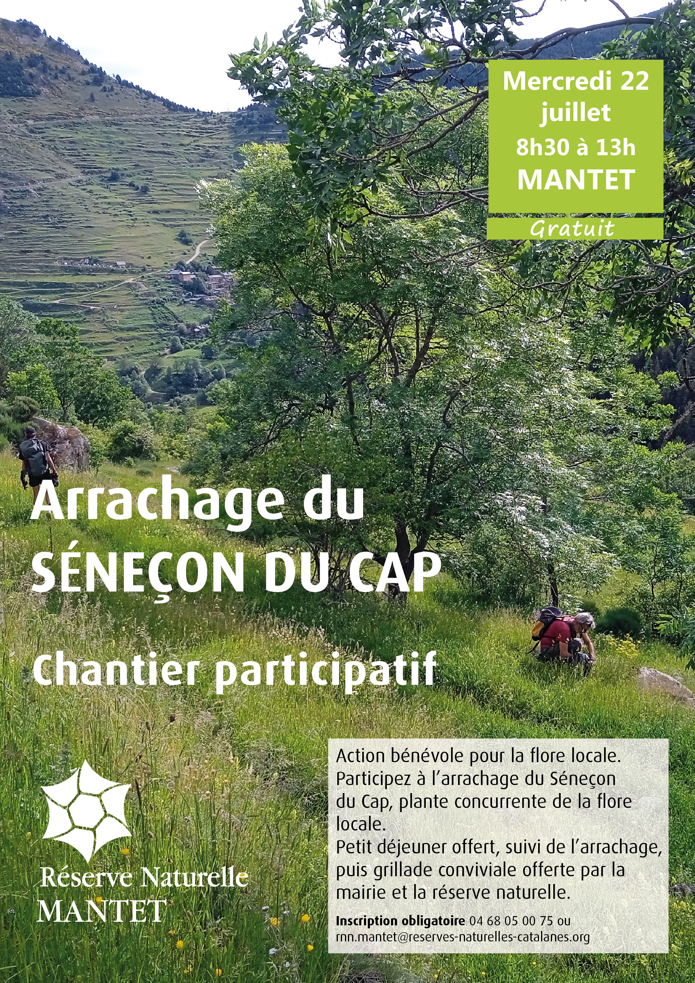 Chantier participatif : Arrachage du séneçon du CAP