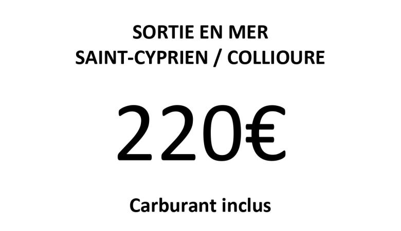 sortie en mer COLLIOURE