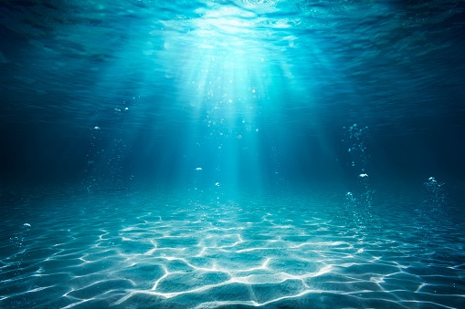 Quelle mer voulons-nous?