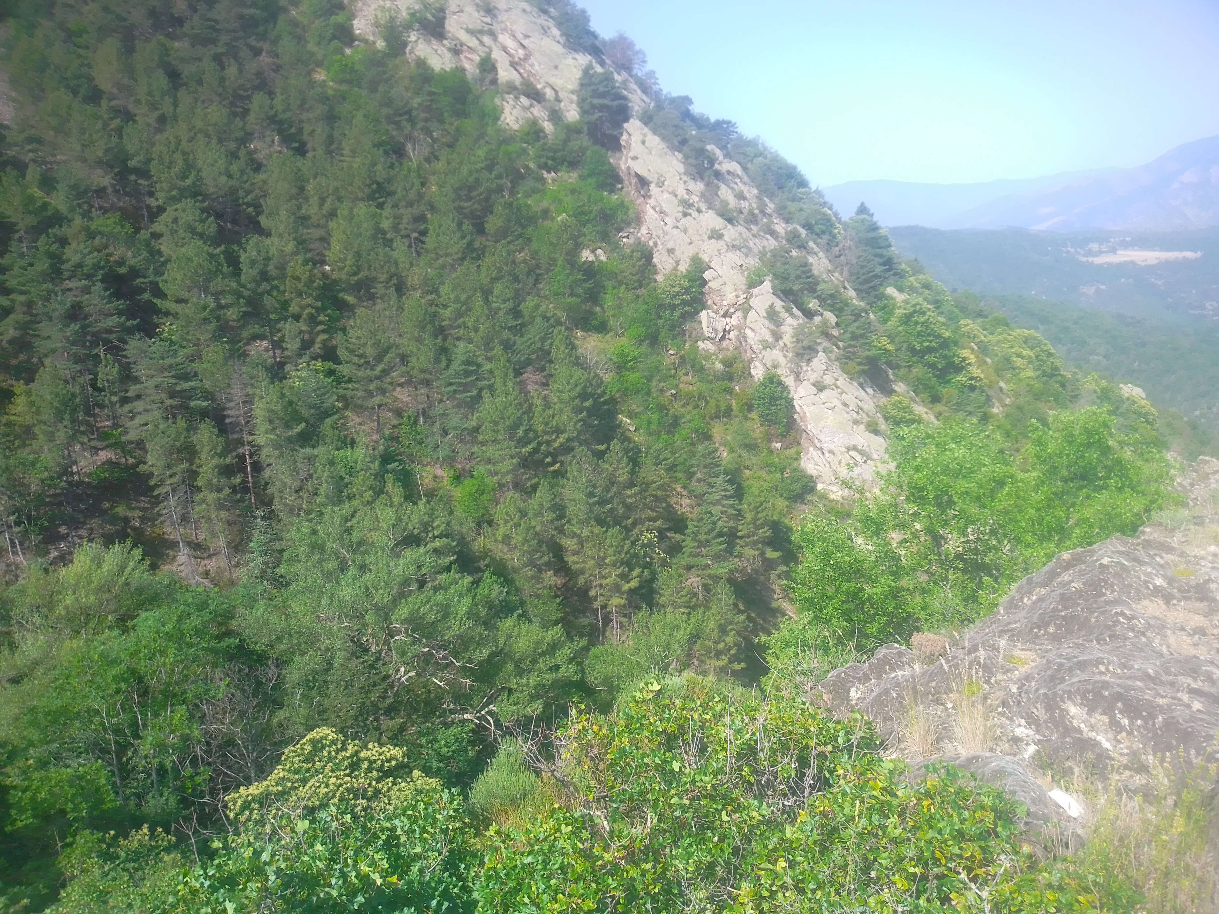 Rando accompagnee : Chapelle saint-etienne de pomers et la foret de CLARA