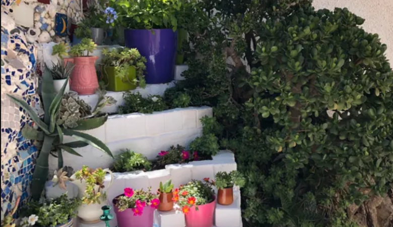 terrasse rocailleuse