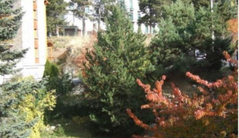 torremagne16