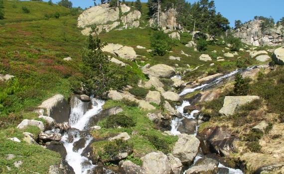 tres-bien-152305843009215578946