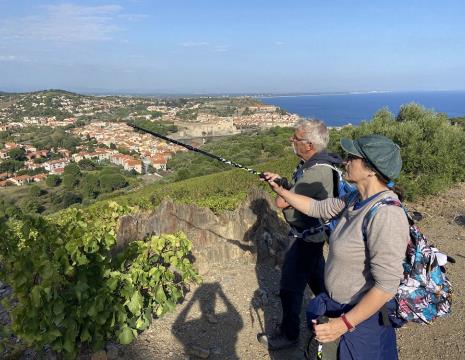 BALADE VINOHRANDO DANS LES VIGNES