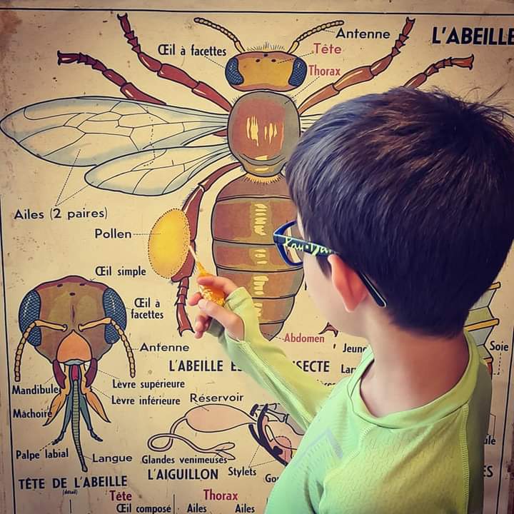 Ateliers creatifs et visite a la miellerie