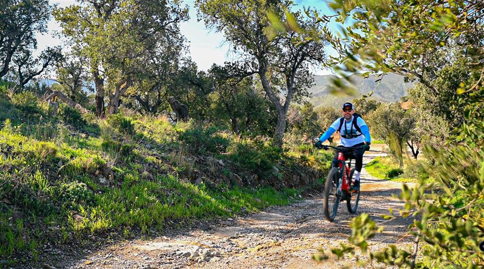 Vignobles en scene - VTT et cocktails au cave tambour