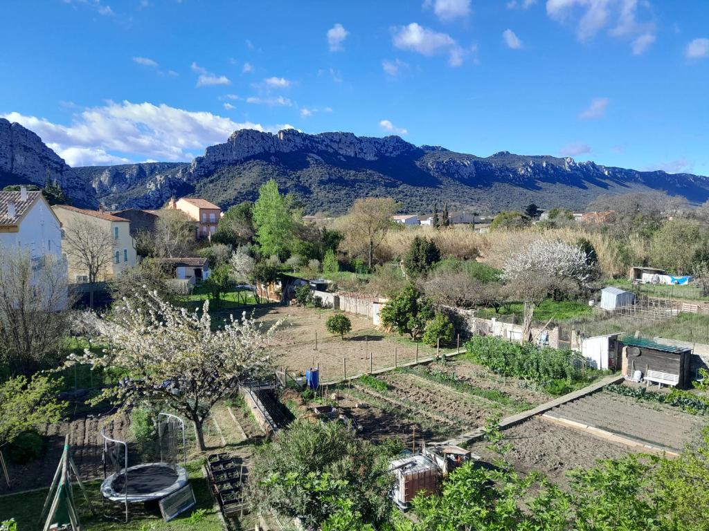vue chambre sur jardin - omshanti_galamus