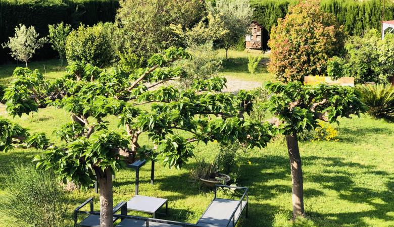 vue jardin 2